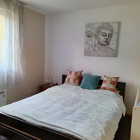 Apartment Wega Star