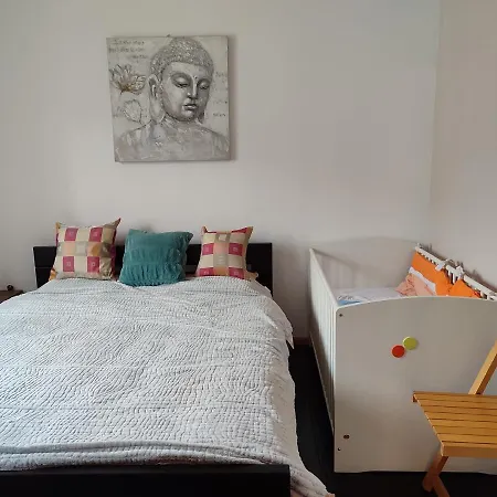 Wega Star Apartment Brzeće