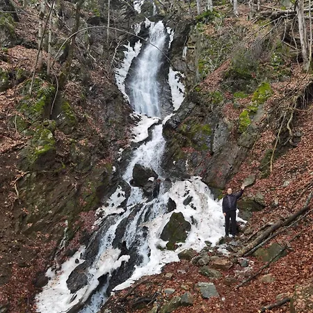 Apartmán Wega Star Brzeće