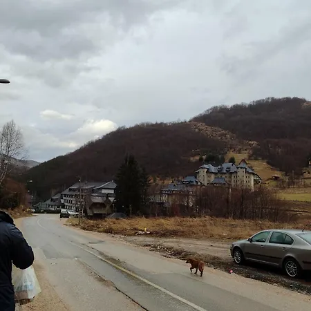 Apartman Wega Star *