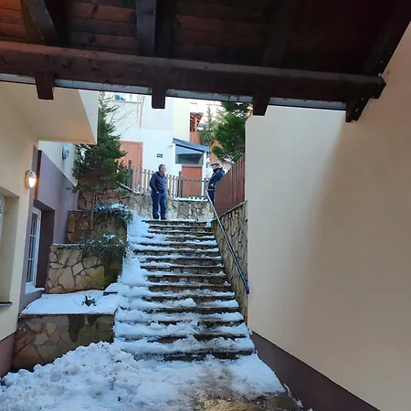 Wega Star Brzeće