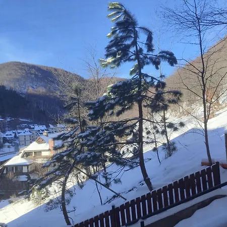 Wega Star Apartman Brzeće