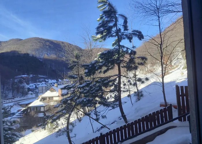 Wega Star Apartman Brzece