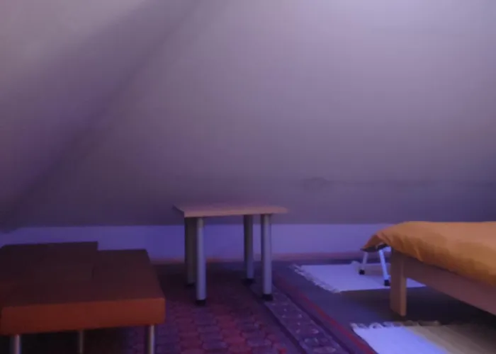 Wega Star Apartman Brzece